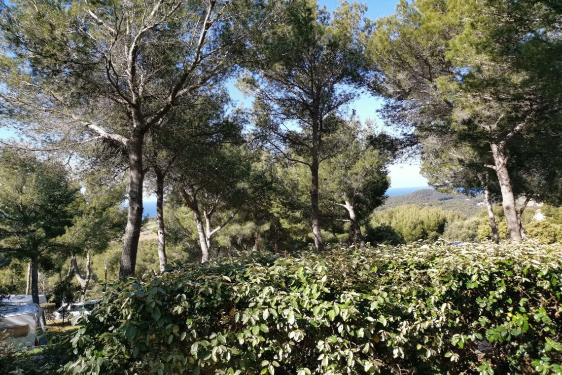 Vue à partir de la Location Lodge Porquerolles